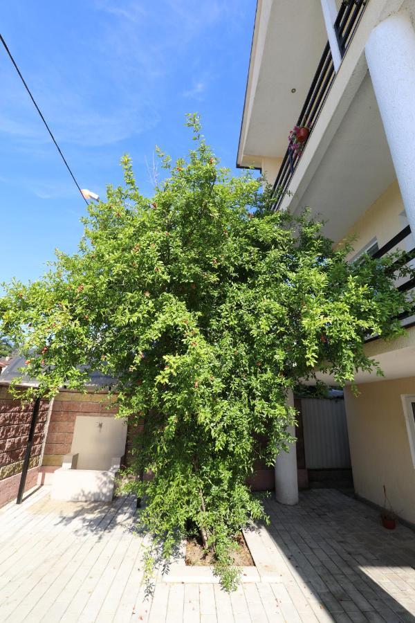 Rozalin Guest House Гудаута Екстериор снимка
